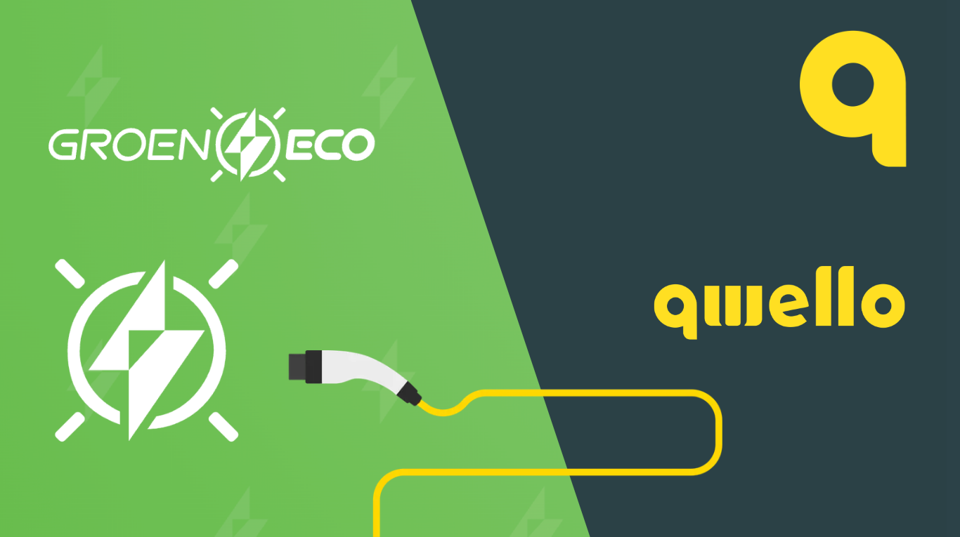Groen Eco x Qwello